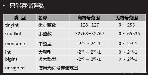 MySQL數(shù)據(jù)庫(kù)服務(wù) 從構(gòu)建到管理的全面指南